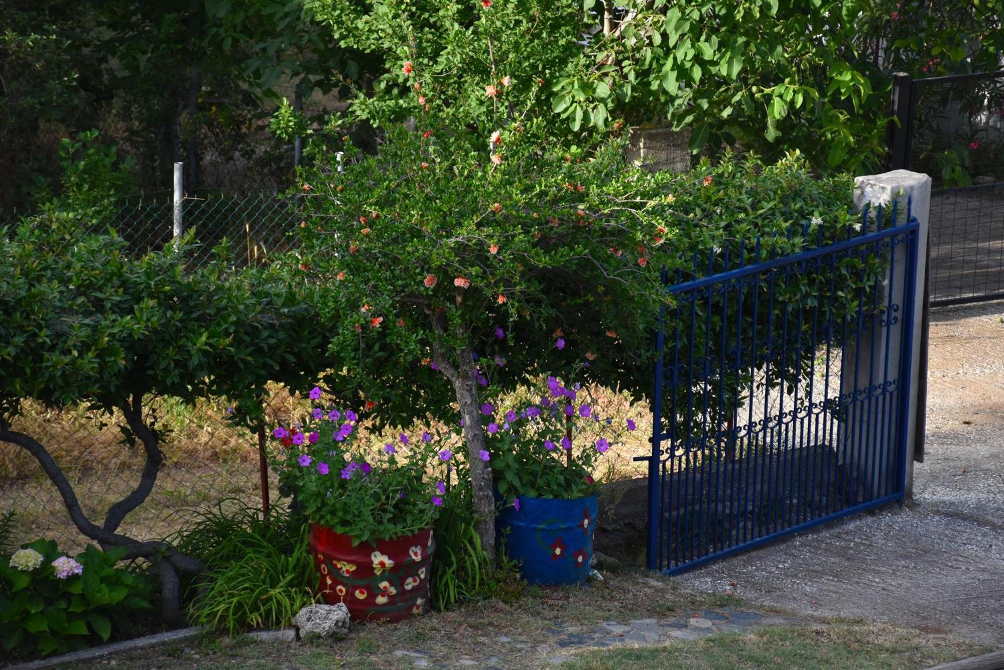 Mirsini Apartments Kariotes Zewnętrze zdjęcie