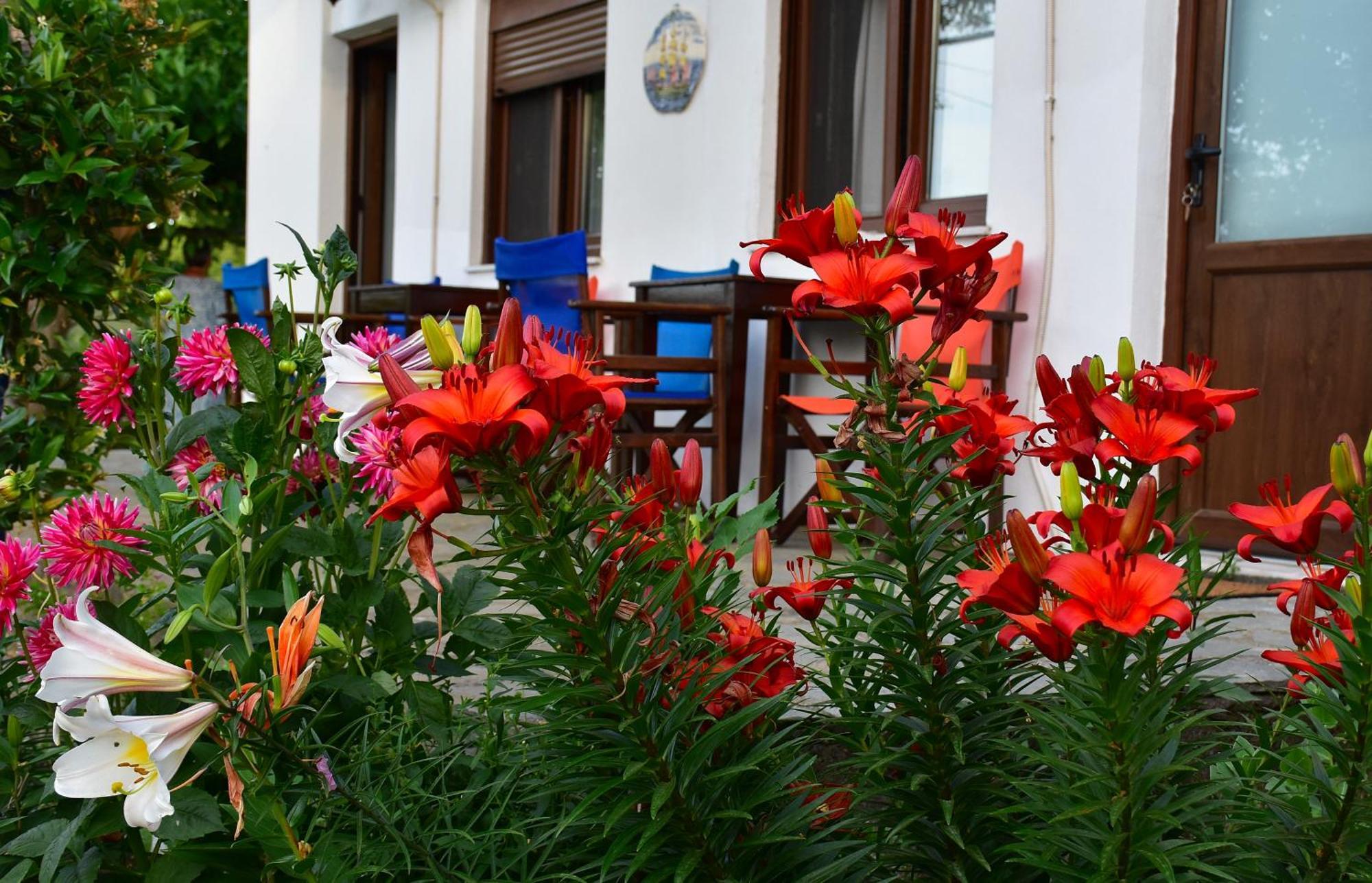 Mirsini Apartments Kariotes Zewnętrze zdjęcie